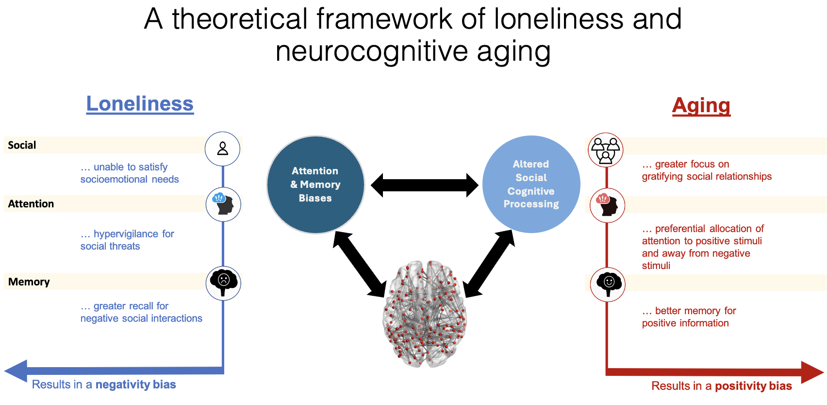Illustration related to loneliness, aging, and brain connectivity